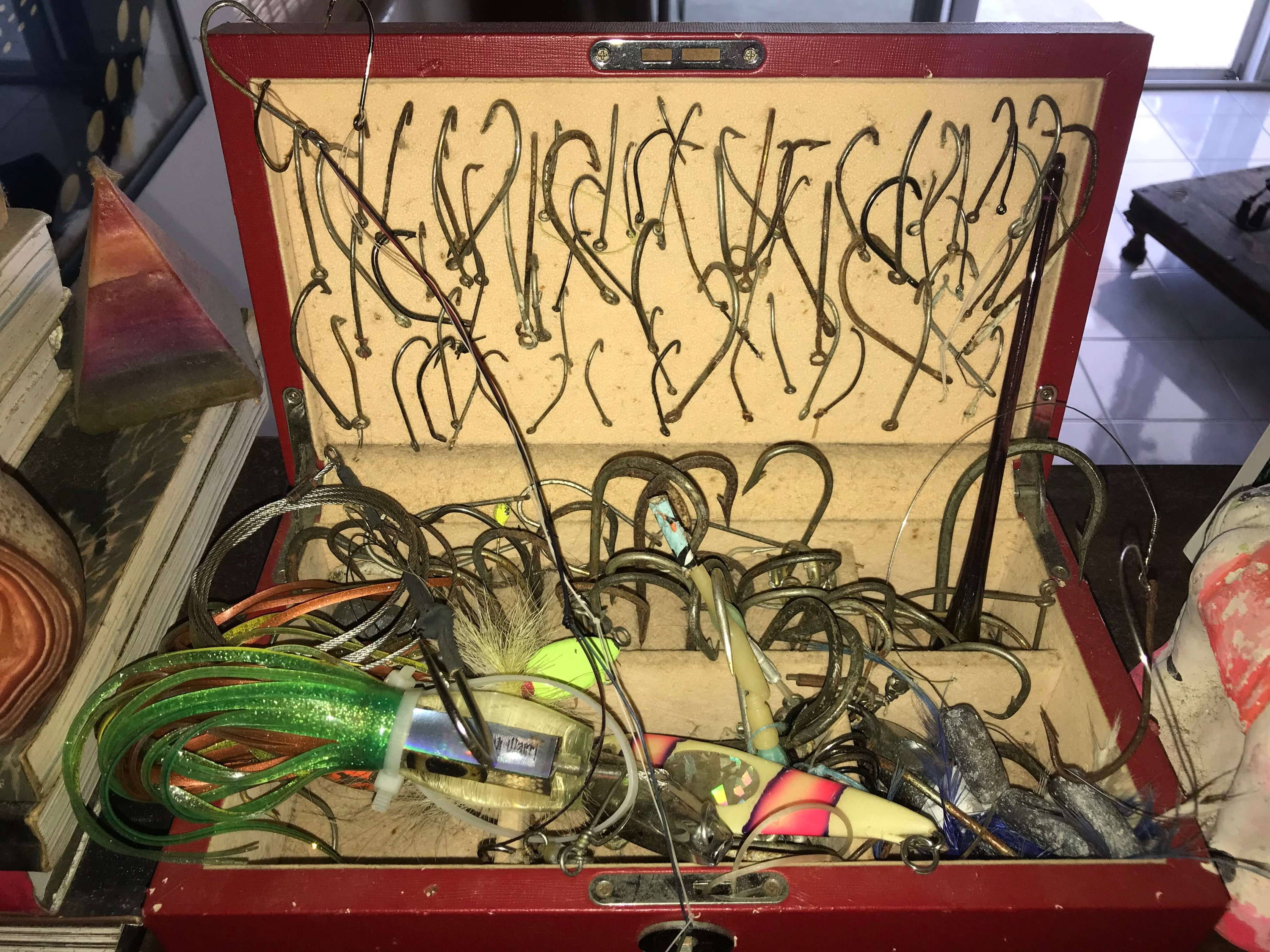 “The hooks I have removed from the sharks through the years, a symbol of the damage we can cause to our environment, but also an example of how each one of us can do something to reverse it. I received the box as a gift when I was invited to visit China to help local famous people campaign against shark fin soup. It's my box of hope!”