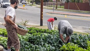 This LA Startup transforms front lawns into urban farms