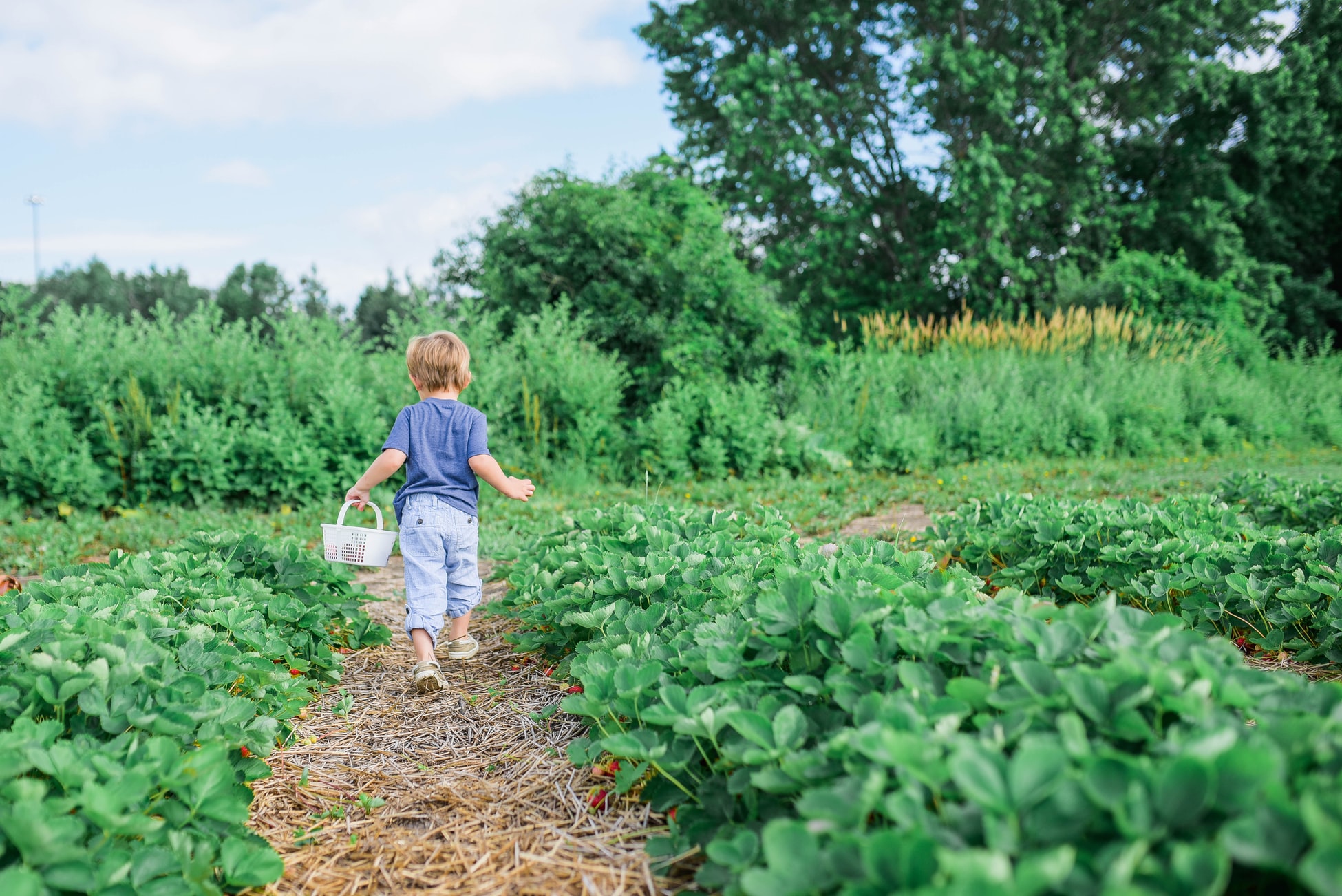 It’s a relaxing, family-friendly hobby that can also ease concerns over food security as lockdowns slow the harvesting and distribution of some crops.