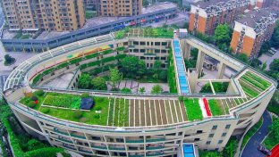 Organic rooftop farm above elementary school in China supplies canteen with fresh produce