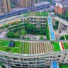 Organic rooftop farm above elementary school in China supplies canteen with fresh produce