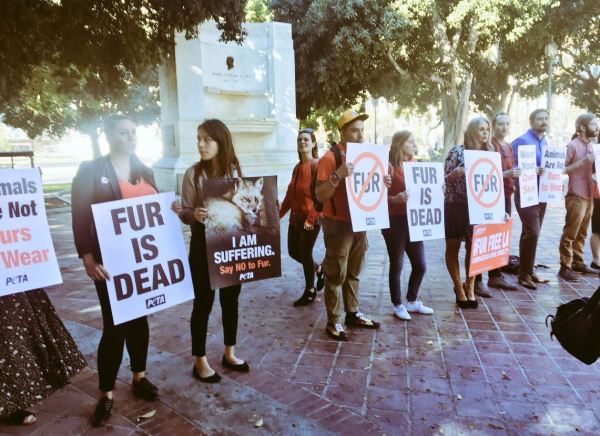 “There is no necessity to wear fur,” council member Bob Blumenfield said at a news conference outside City Hall in September alongside dozens of fur activists.