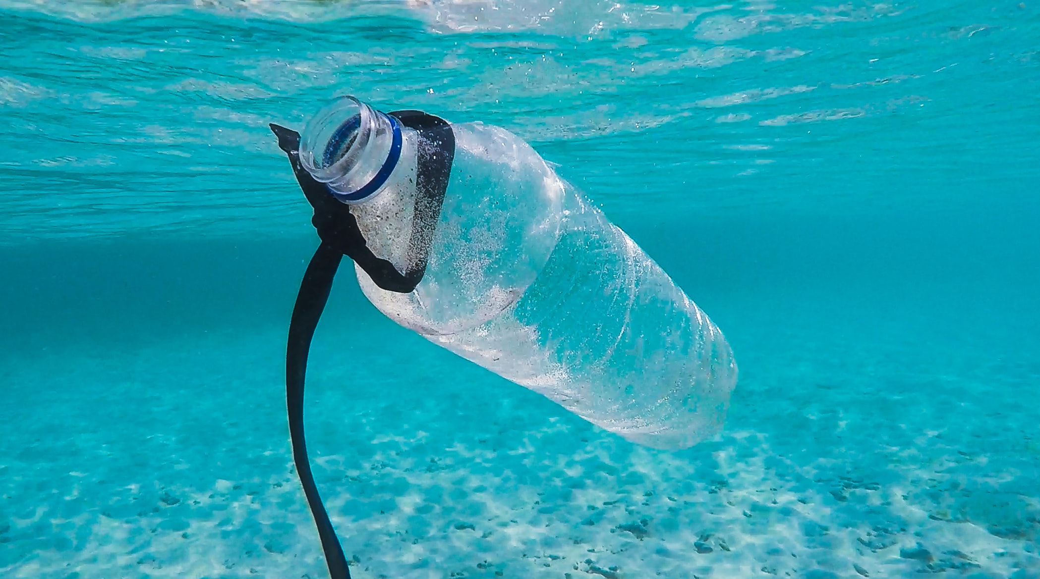 with a particular focus on the oceans, where nearly 50% of single-use plastic products end up, killing marine life and entering the human food chain, studies show.