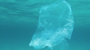 This Is How Australia Reduced Plastic Bag Consumption by 80% in 6 Months