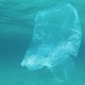 This Is How Australia Reduced Plastic Bag Consumption by 80% in 6 Months