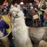 &#8216;No Drama Llama’ keeps protesters and police cool in Portland
