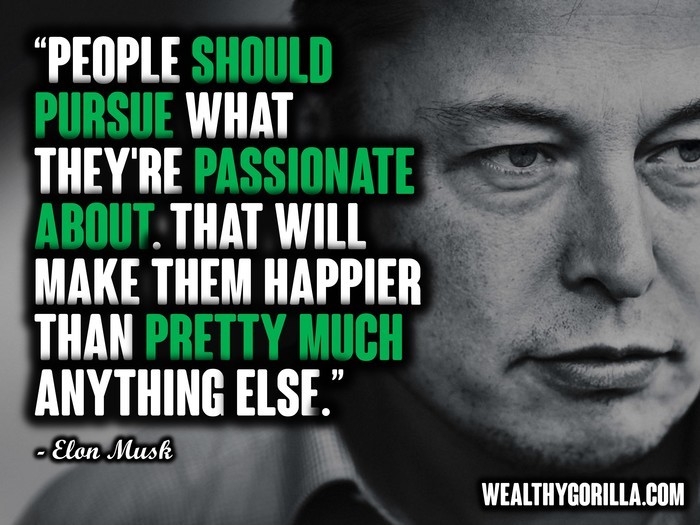 “People should pursue what they’re passionate about. That will make them happier than pretty much anything else.” – Elon Musk