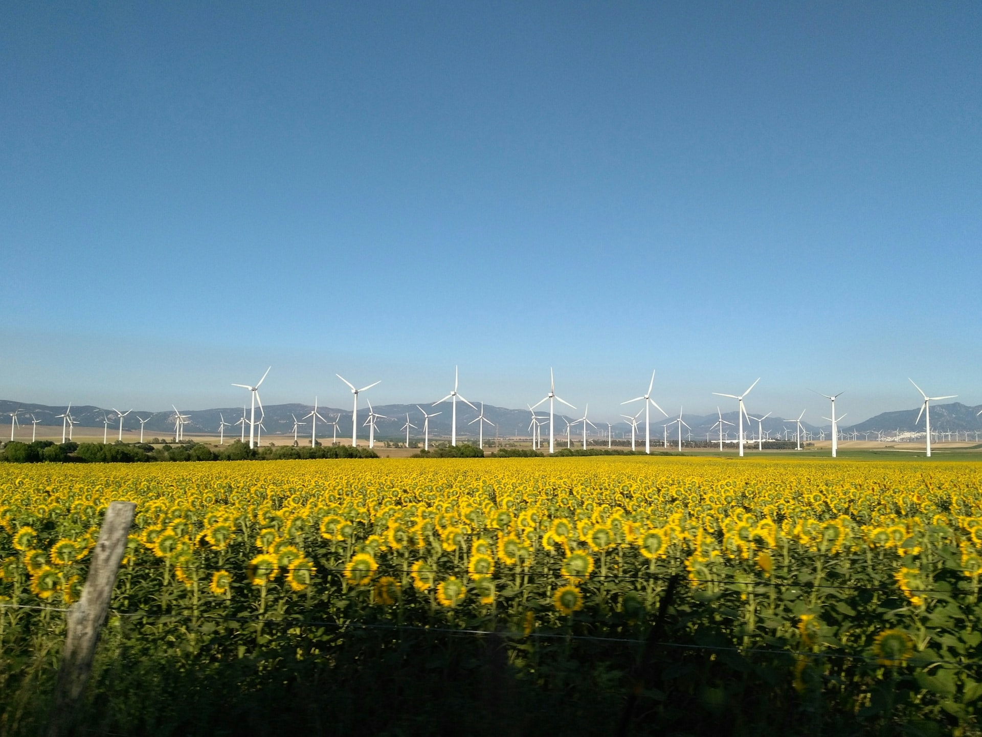 Spain now plans to become the 'energy breadbasket' of Europe, aiming to generate 74% of electricity from renewable sources by 2030. Read the full story ?