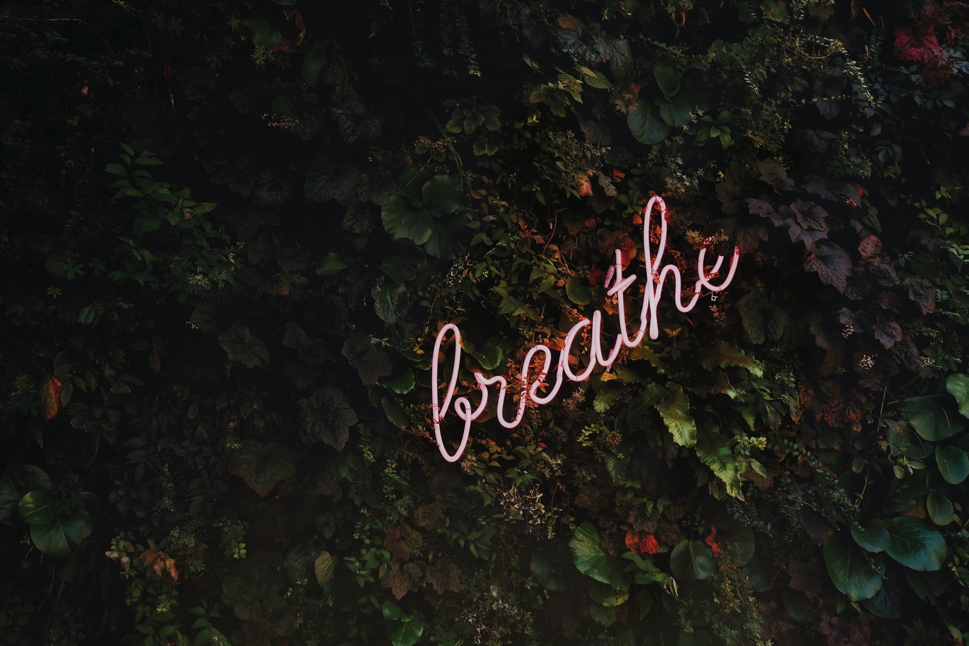 Hopefully, reading though these tips and having a think about them will already be starting to calm your nerves. Breathe. Take things slowly and methodically. Focus on one thing at a time and your mind can’t run away with itself. They say “wash your hands 20 times a day” — well, take that same amount of time every day to stop and breathe for a moment.