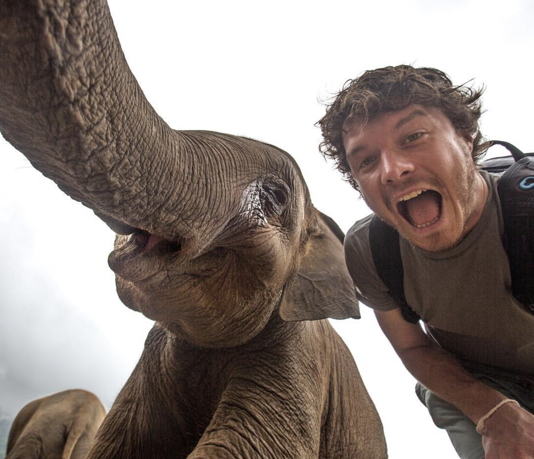 ‘Luckily had my camera and tried taking photos of them. But most of the animals were curious and got closer, wanting to sniff me and the camera. They didn’t fit in the picture so I flipped the camera around a took a selfie. The first selfie was with a baby camel in 2013 and have build a collection of over a 100 animal selfies.’ Including this elephant (not taken in Australia).