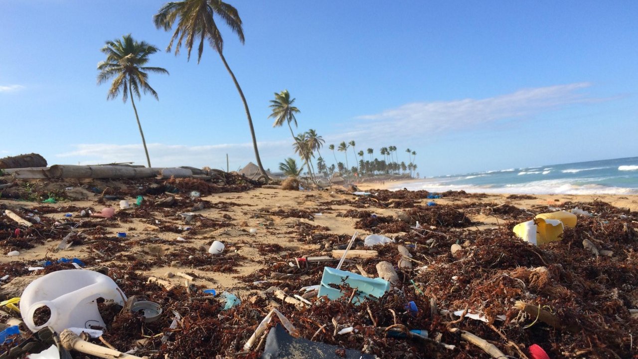 Seven Caribbean countries to ban single-use plastics from 1 January 2020