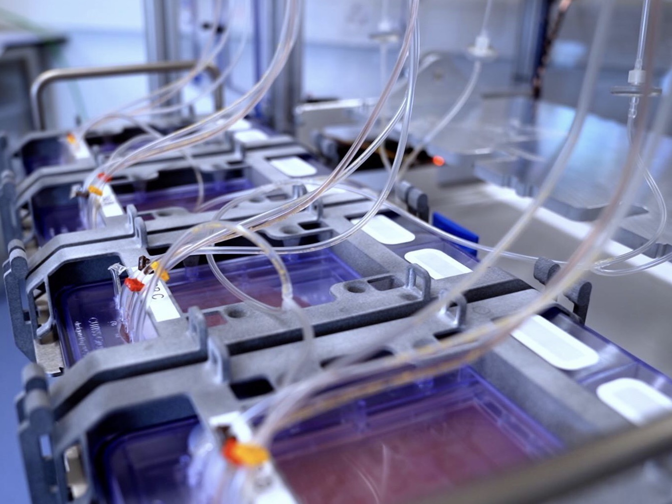 “Automated manufacturing of cell products in closed systems is a must for all regenerative therapies trying to enter the market today because it reduces dramatically the risk of microbial contamination while ensuring standardised quality and lower production costs. Knowing that our work may impact the lives of millions of patients is a unique source of motivation for the whole team.”
