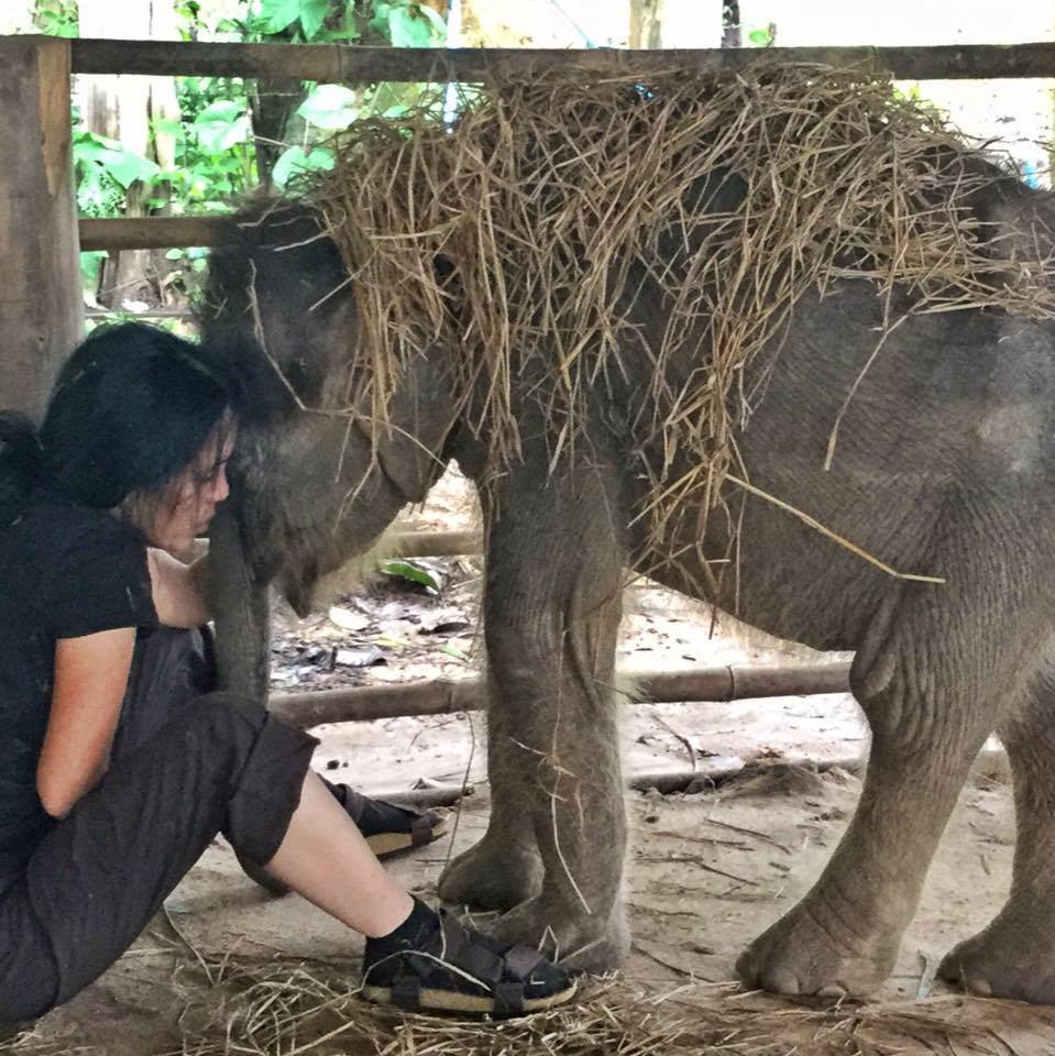 Lek and her staff are on hand to provide support, comfort, security and love to these gentle animals who have seen so much pain.