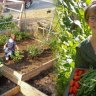 Caring Young Girl Builds 11 Tiny Homes To Support Homeless People and Grows Her Own Food
