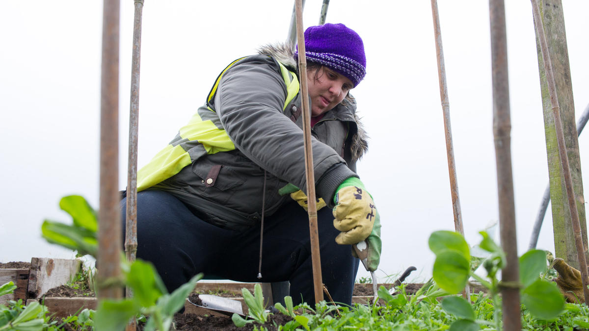 Strawberry Field will be a place that provides sustainable employment opportunities for young people with learning disabilities. A new hub offering training, skills and valuable work placements will provide real employment prospects.