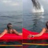 Breaching humpback whale startles rowers