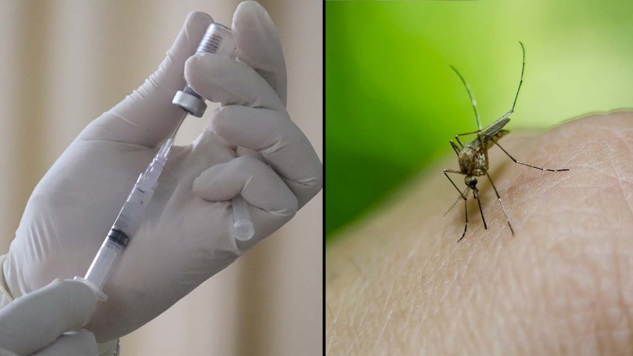 W.H.O. Endorses Groundbreaking Malaria Vaccine For Children