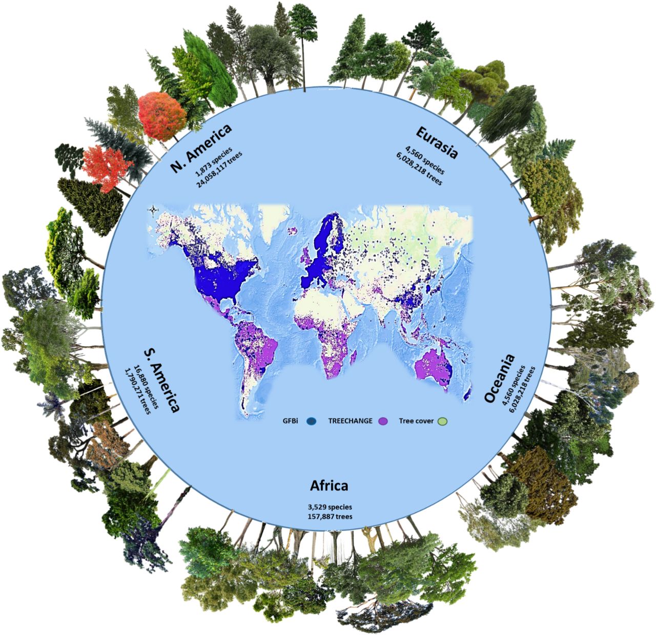 GFBI data were merged with TREECHANGE data to provide the estimates in the new study. Green areas represent the global tree cover. The GFBI database contains records of about 38 million trees from 28,192 species. Depicted here are some of the most frequent species recorded in each continent. Image credit: Cazzolla Gatti et al. in PNAS, 2022