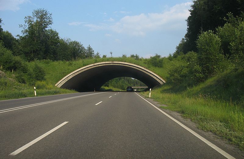 A beautiful 'Ecoduct' arched crossing passing over the B38 highway in Germany. This crossing does not sport edges to keep the animals from falling, although the naturalistic approach is enough to keep people and wildlife safe.