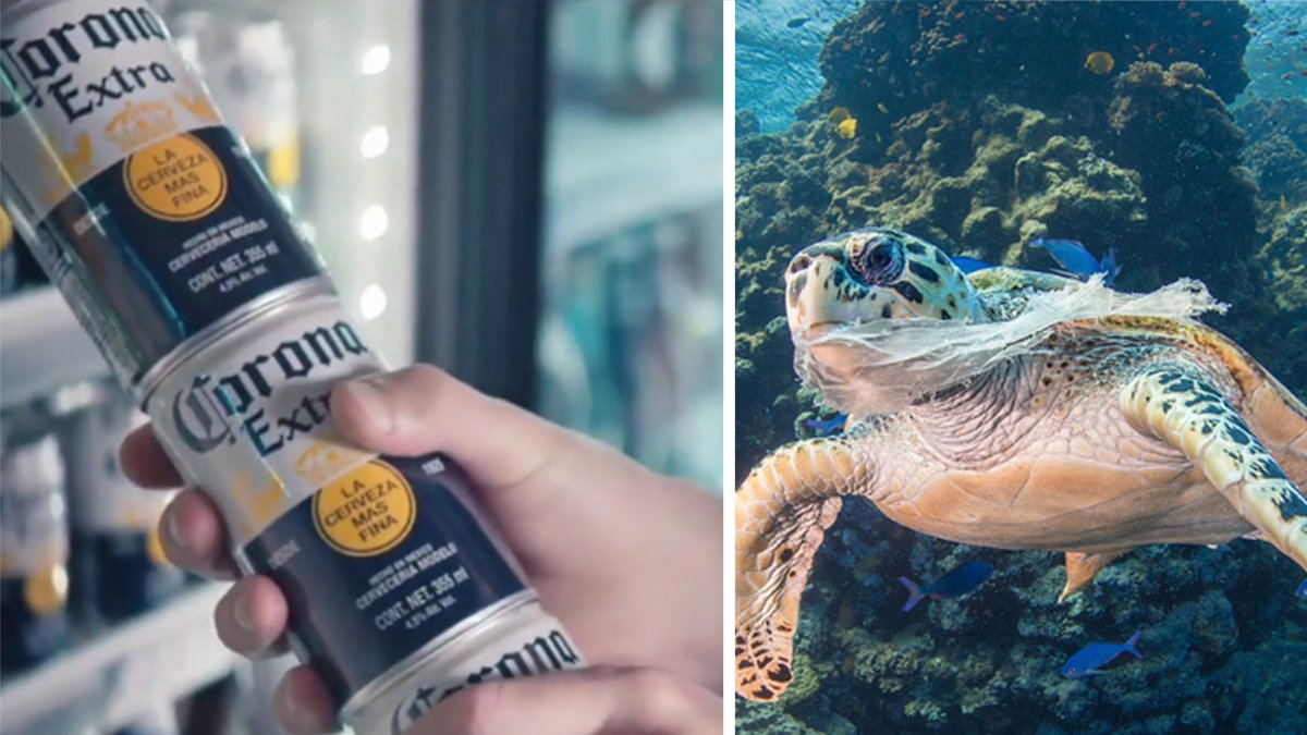 Beer Rings Polution Screw Plastic! These Brilliant Beer Cans Eliminate the Need for Harmful ...