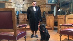 Meet “Lol” the black Labrador helping relax distressed witnesses in French courts