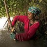 100,000 Senegalese work on the world&#8217;s largest mangrove restoration programme