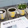 This Japanese Newspaper With Seeds Embedded Sprouts Flowers When Planted