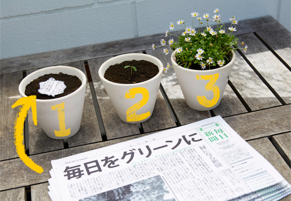This Japanese Newspaper With Seeds Embedded Sprouts Flowers When