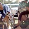 Meet the vet who‘s been giving free medical care to pets of the homeless for almost a decade