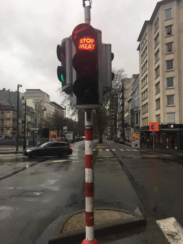 Featuring the phrases “STOP MEAT” over the red light and “GO VEGAN” over the green signal, the lights have left vegans and activists feeling pleased but also somewhat confused as to how they got there.