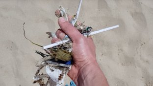 EU proposes ban on straws and other single-use plastics