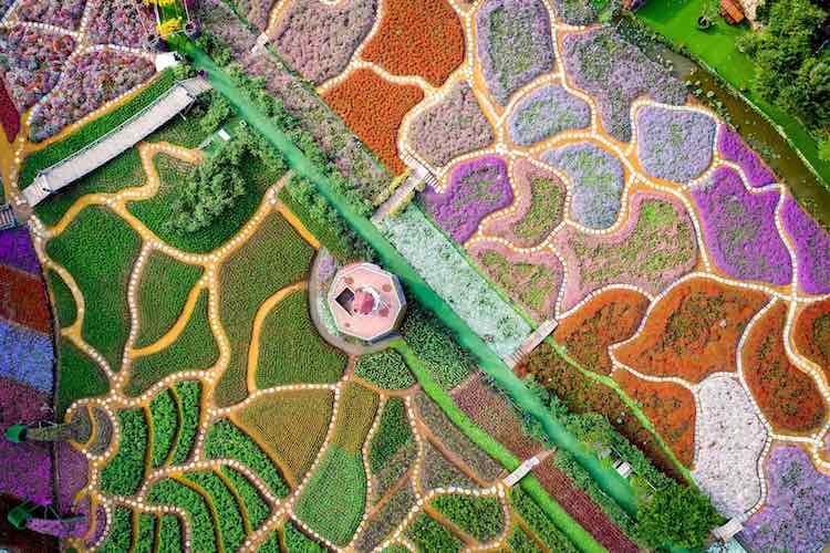 “With a total area of up to 7,000 square meters, the West Lake flower valley is like a garden of Eden in the heart of Hanoi, Vietnam.”