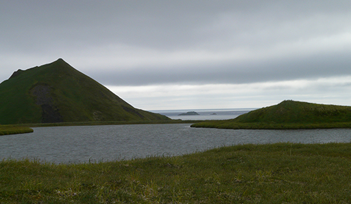 With the rats gone, restoration partners and the Aleutian Pribilof Island Association agree that an Aleut (Unangan), name was a fitting tribute to the restored island. The U.S. Board on Geographic Names, at its May 10, 2012 meeting, approved the proposal to change the name of Rat Island to Hawadax Island in the Aleutians. Hawadax (pronounced “how AH thaa”) is a return to the original Aleut name, in acknowledgement of the absence of rats—a return the island’s previous ecological state prior to European/Japanese contact.