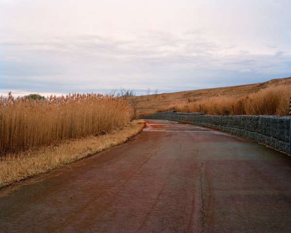 In 2007, capping of the East Mound began, and in 2011 a regular old park appeared, or reappeared, on the northwest edge of Freshkills. The renovated Schmul Park — a relatively small old-school park, with playgrounds, baseball fields and basketball and handball courts — was a tentative step, designed to keep nearby neighbourhoods interested. Truckloads of imported soil enter the site, much of it from the Pine Barrens in New Jersey, an iron-rich coastal soil that stains the roads on the Staten Island mounds red.