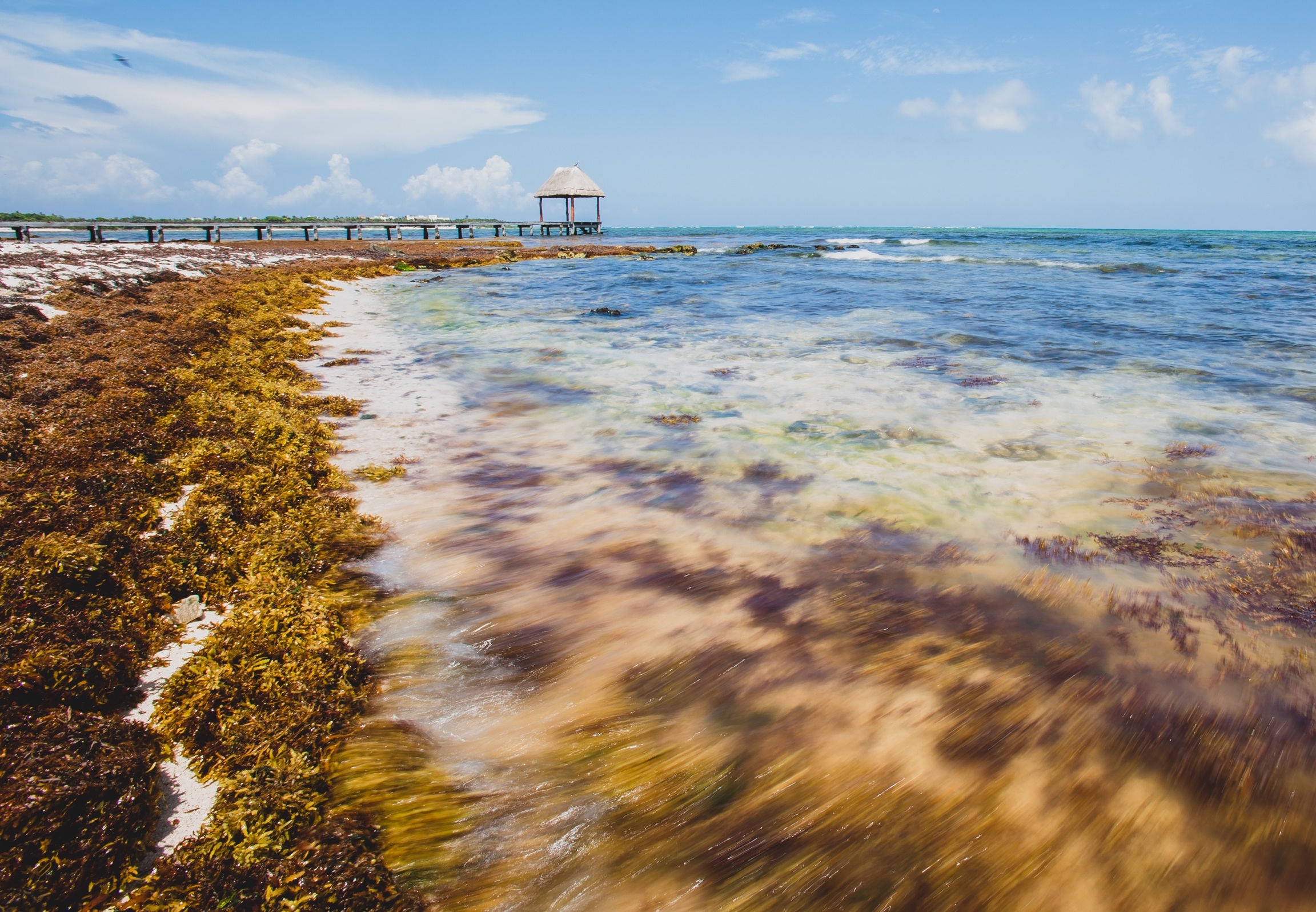 Overabundant seaweeds represent un-utilised biomass in shallow water, beach and coastal areas. The excessive richness of nutrients this causes damages marine ecosystems and impairs local tourism; this excessive biomass could serve as biogas feedstock material.