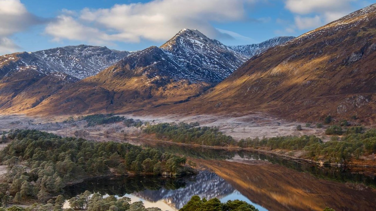 Scottish Highlands to be transformed by massive rewilding project