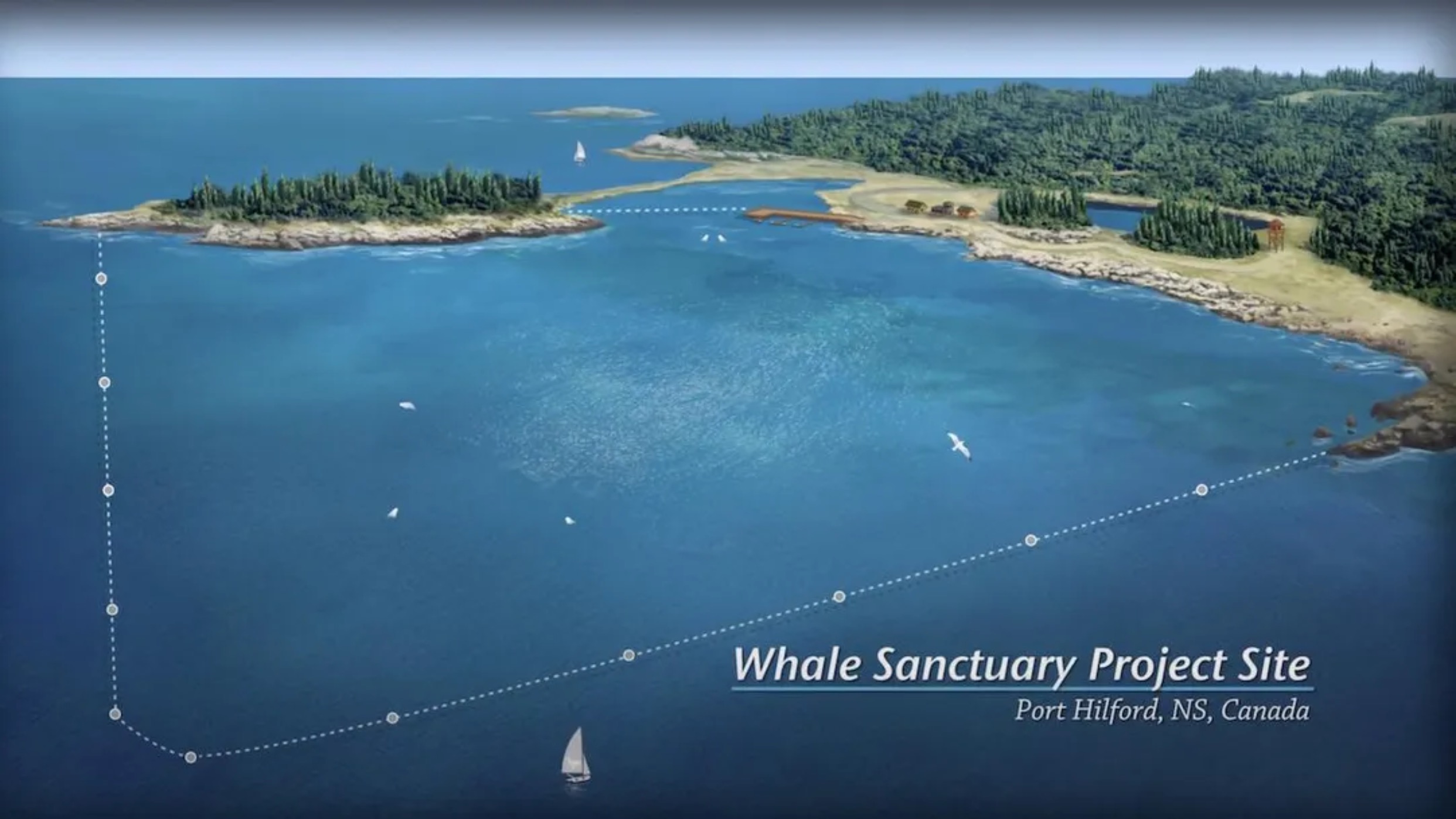 The sanctuary is planned for Port Hilford Bay in Nova Scotia and will include 110 acres (44.5 hectares) of habitat for the whales. This amount of space will be ideal for about eight formerly captive whales.