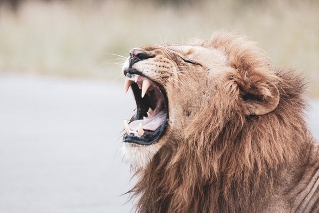 This latest move by the Government of South Africa is courageous – taking the first steps in a commitment to long-lasting and meaningful change.