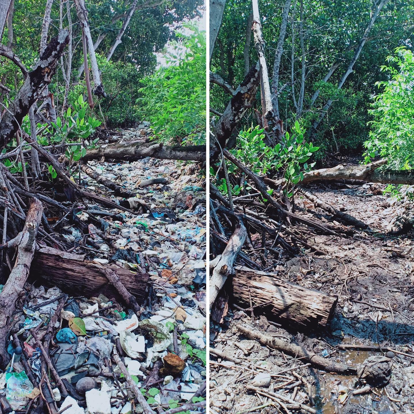 Sungai Watch organiza limpiezas de emergencia en vertederos ilegales y a lo largo de las riberas de los ríos para evitar que los plásticos lleguen a ellos, además de trabajar en la aplicación de una gestión adecuada de los residuos a nivel local.