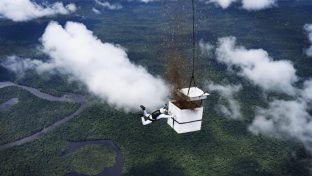 Fallschirmspringer verstreut mehr als 100 Millionen Samen über ein abgeholztes Gebiet im Amazonasgebiet.
