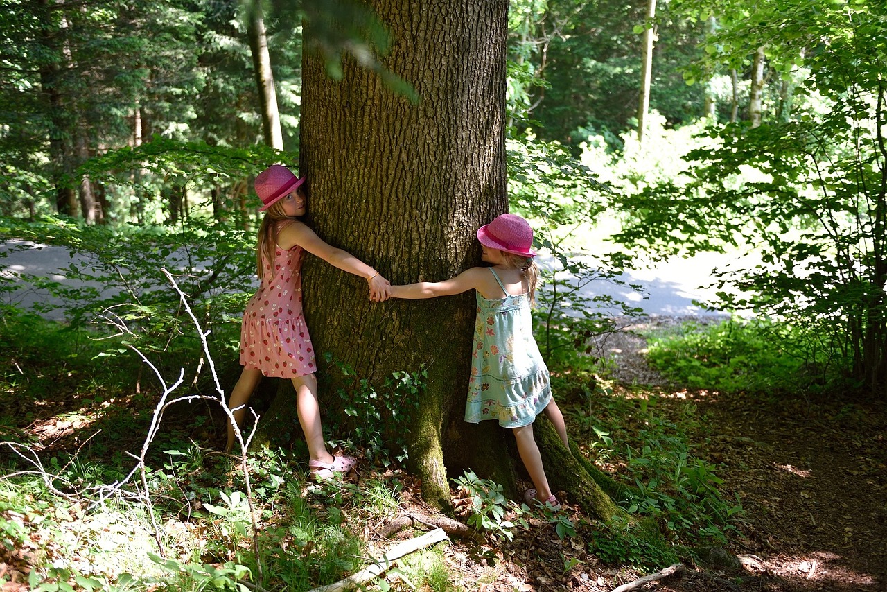 Forest bathing is something the whole family can do together.