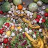 El gobierno español aprueba una ley pionera contra el desperdicio alimenticio