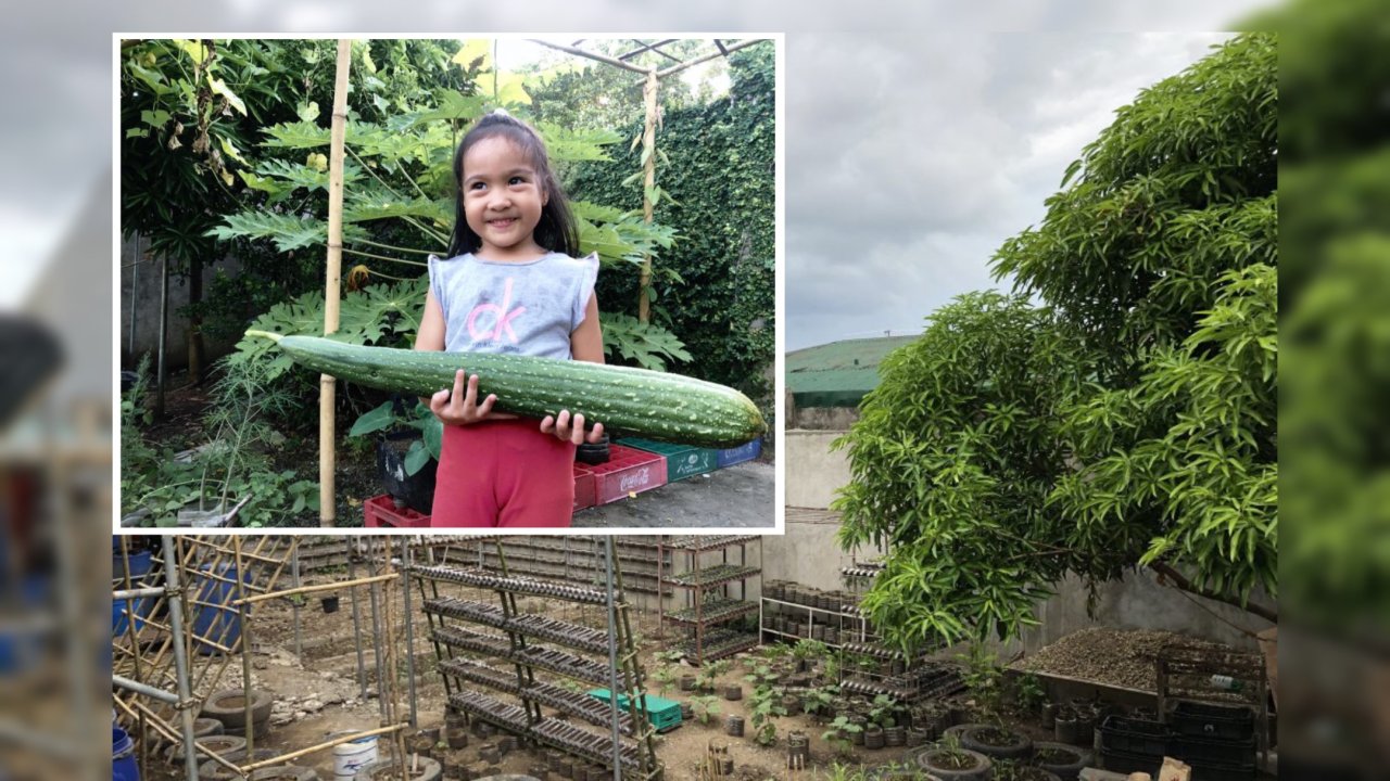 Filipino creates a rich urban farm by upcycling old tyres and over 1,000 plastic bottles