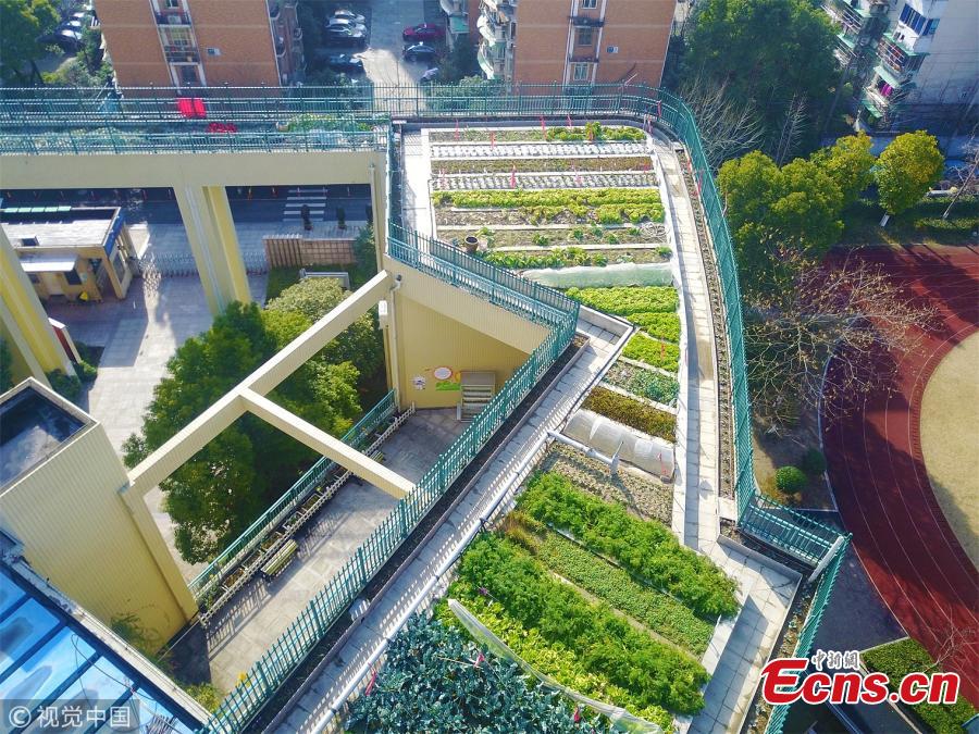 But beyond their decorative benefits, there are many other impressive and important advantages to building rooftop gardens, such as improved air quality, effective use of rainwater, urban heat island (UHI) effect control, energy efficiency, noise reduction, and the introduction of additional urban habitat for wildlife.
