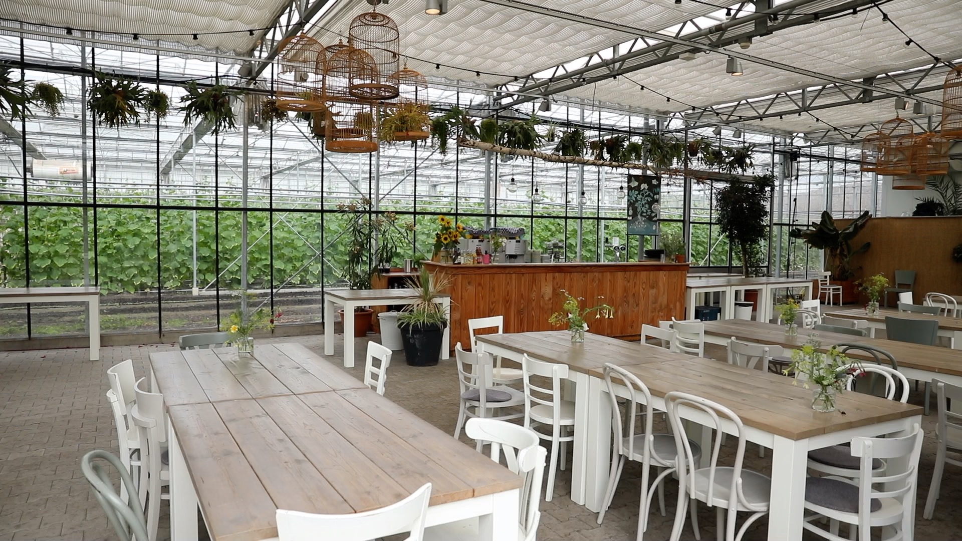 De Oranjerie: a beautiful glass greenhouse, adjacent to our lawn and our greenhouse. Overlooking the colorful garden and greenhouse full of vegetables and fruit.