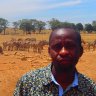 Kenya’s ‘elephant guardian’ says he will deliver water to thirsty animals ‘until it rains’