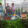 This Dutch greenhouse is growing healthy food and local communities