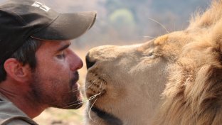 Kevin Richardson: The Lion Whisperer