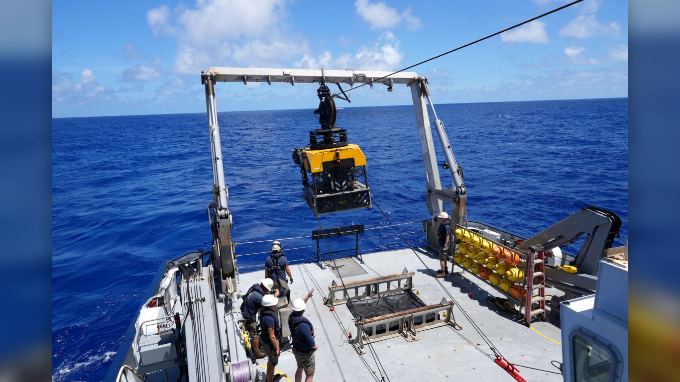 Building off a groundbreaking 2017 expedition, a follow-up expedition in the Phoenix Islands Archipelago enabled the largest collection of microbial cultures from the central Pacific Ocean and the most comprehensive study of deep sea coral and sponge ecosystems in this part of the world. (Image credit: Schmidt Ocean Institute)