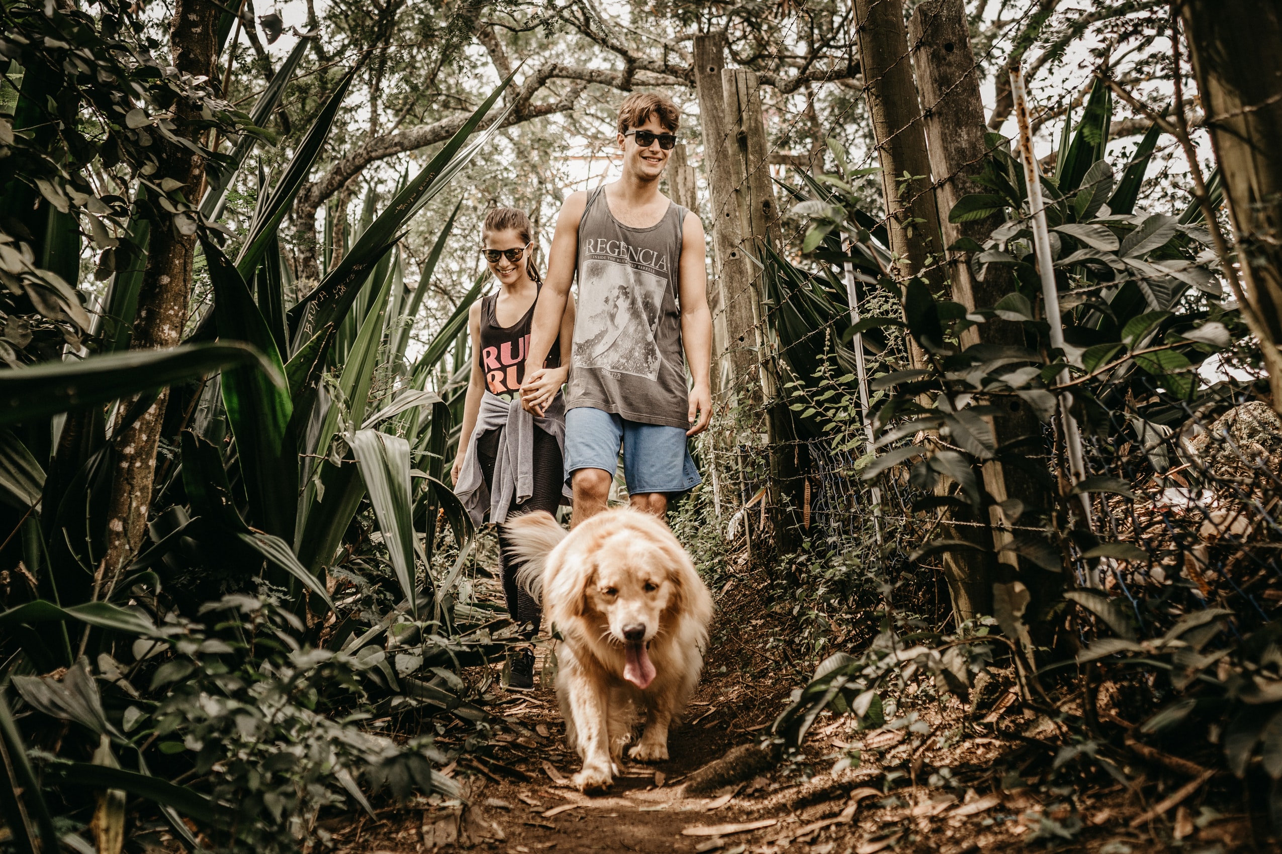 The potentially life-extending benefits of dog ownership could be traced in part to increased physical activity from walking the dog, scientists speculate. The study found dog owners were less likely to die from heart disease compared with non-owners.